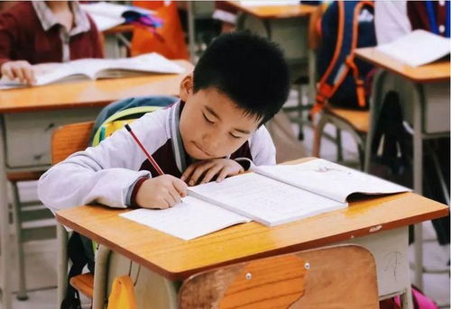江蘇全面啟動(dòng)課后服務(wù)與家庭教育咨詢，為家長(zhǎng)減負(fù)解憂